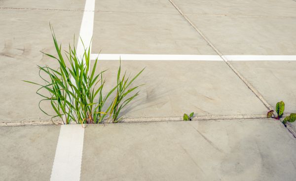 Concrete Parking Installation in Joplin